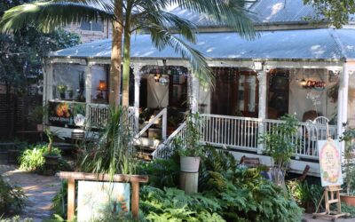 Explore the Heart of Montville