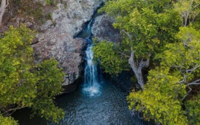 The Light at the End of the Tunnel